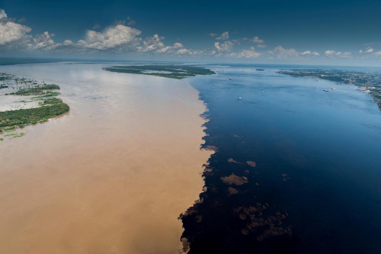 5 Hotéis Imperdíveis no Amazonas para uma Experiência Única na Amazônia