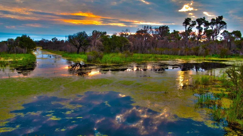 Pantanal Mato Grosso